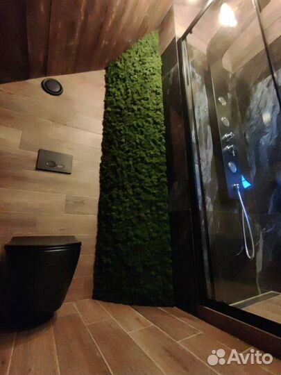 Фитопанели. Озеленение стен. Мох ягель, от