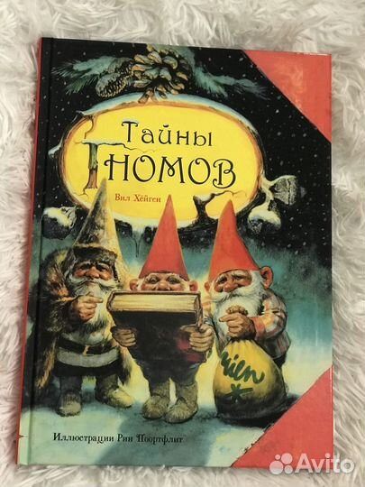 Книга детская Тайны гномов. Вил Хейген