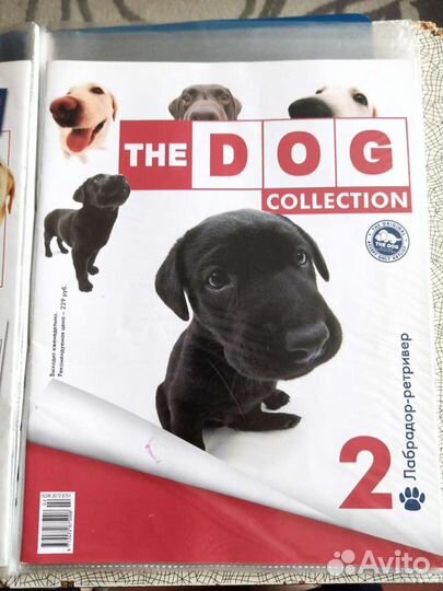 Журнал the Dog collection