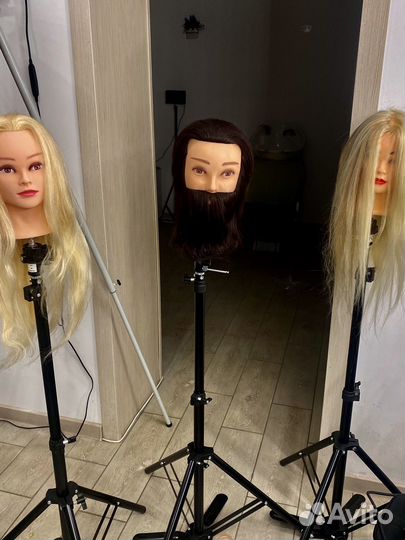 Учебная голова