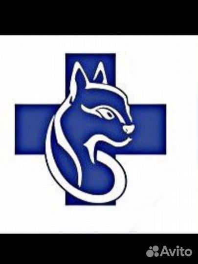 Ассистент ветеринарного врача