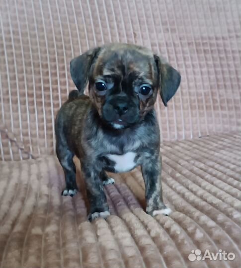 Милый малыш