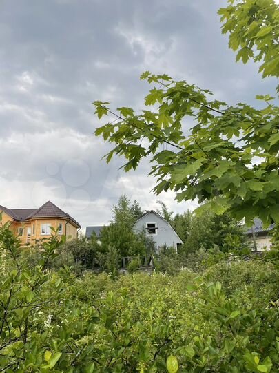 Участок 6,5 сот. (СНТ, ДНП)