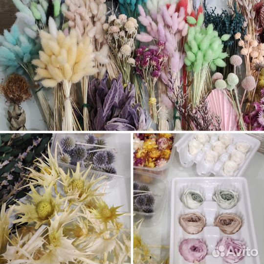 Сухоцветы и материалы для букетов (остатки)