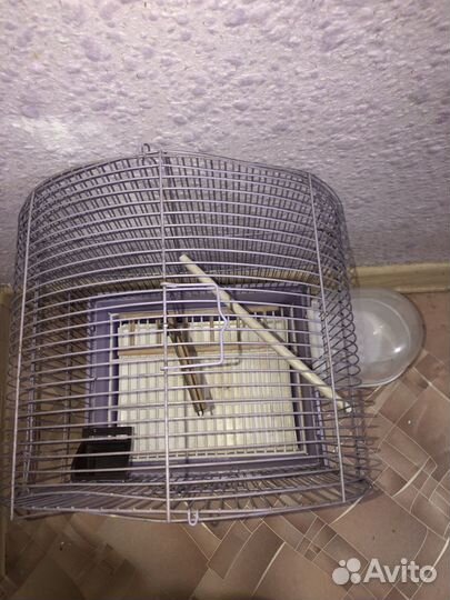 Клетка для попугая бу