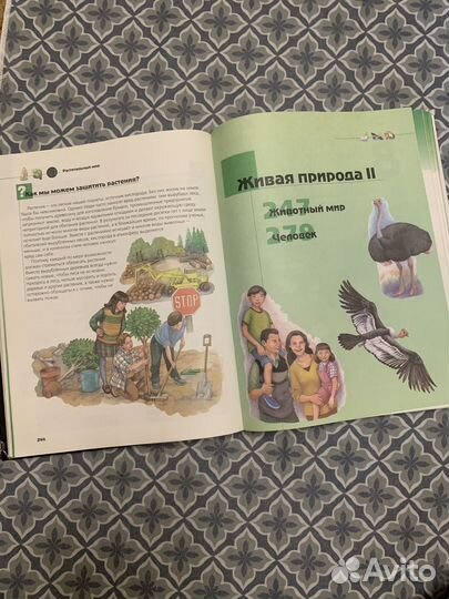 Познавательная детская энциклопедия