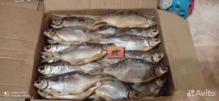 Вобла Астраханская