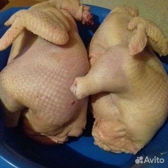 Мясо бройлера