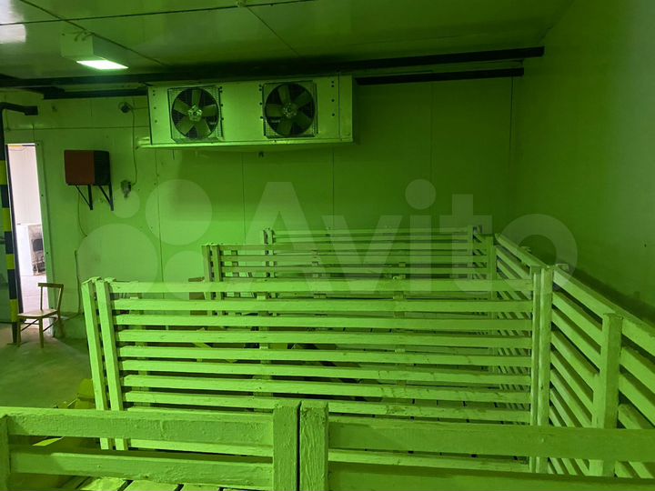Склад, 478 м² (овощехранилище с темп. режимом)