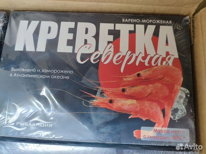 Креветка северная