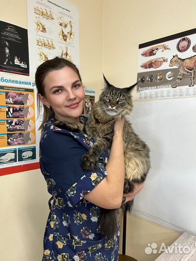 Ветеринарный врач на дом