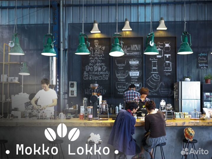 Mokko Lokko: Успех с первого дня