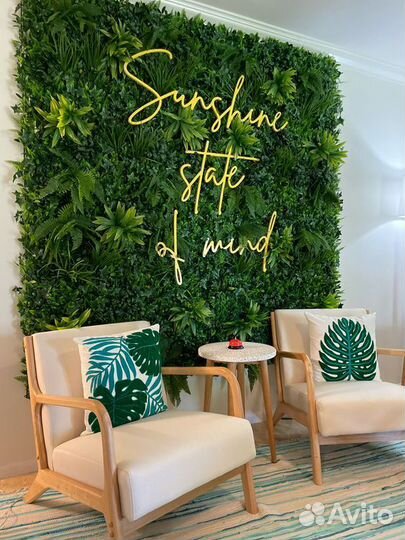 Озеленение салонов красоты под ключ