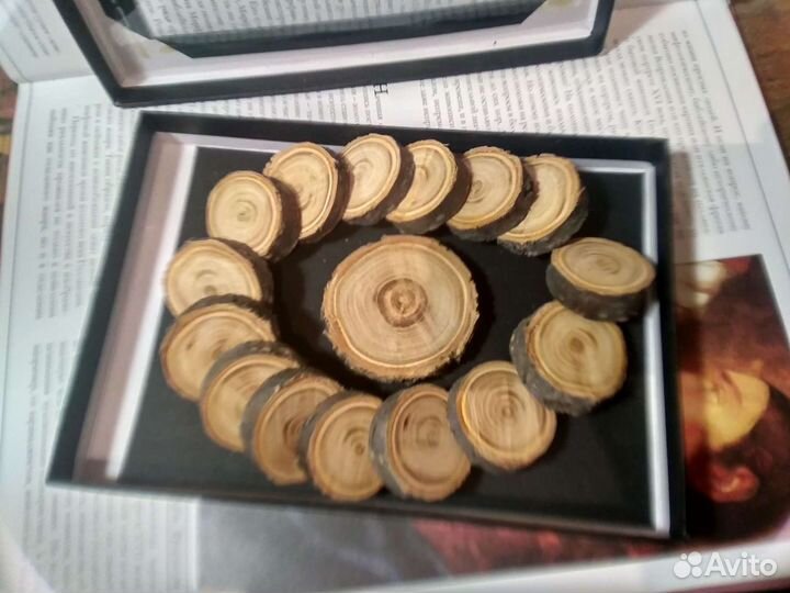 Спилы абрикоса торцевые