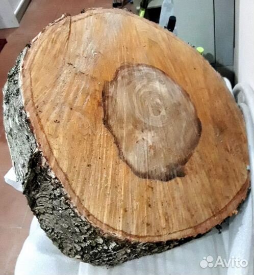 Берёзовый спил, слэб и мох сфагнум