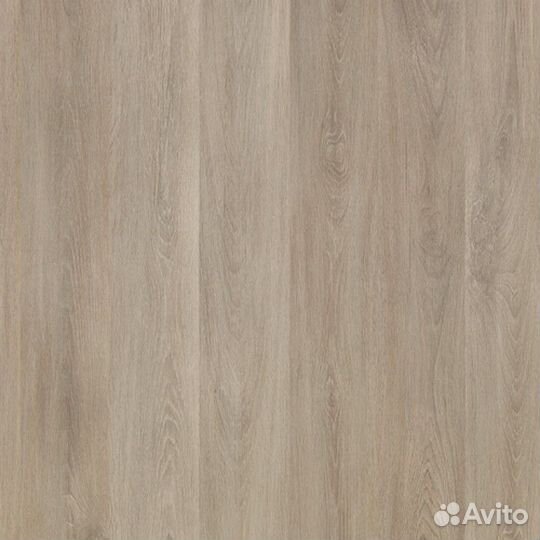 Odyssey 833 Дуб Аргос 33 класс