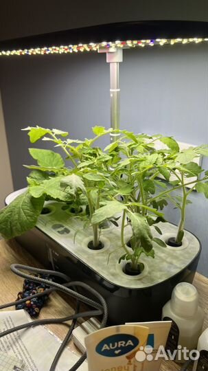 Умный сад с фитолампой и автополивом