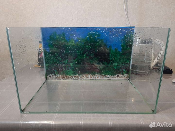 Аквариум