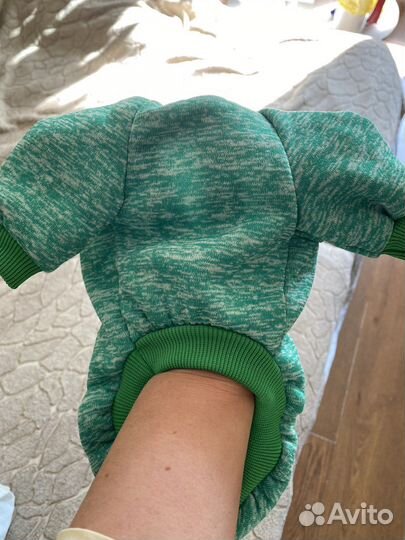 Одежда для животных