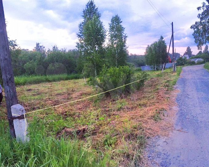 Участок 4 сот. (СНТ, ДНП)