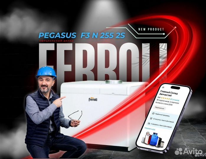 Котел газовый Ferroli Pegasus F3 N 255 2S