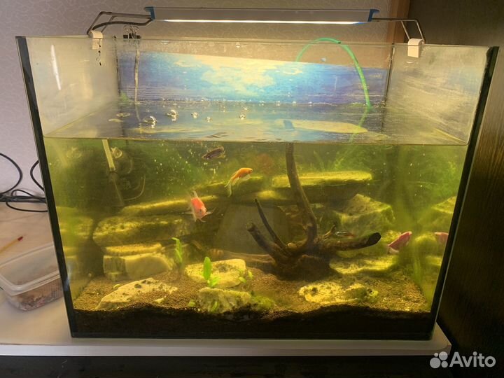 Аквариум