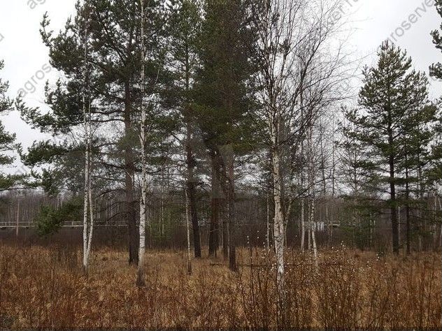 Участок 7,6 га (СНТ, ДНП)