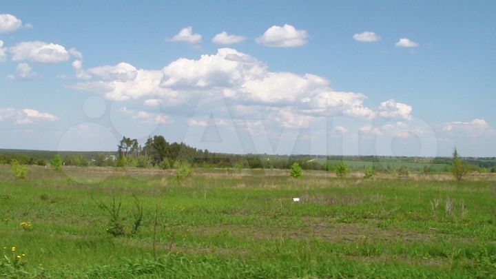 Участок 15 сот. (СНТ, ДНП)