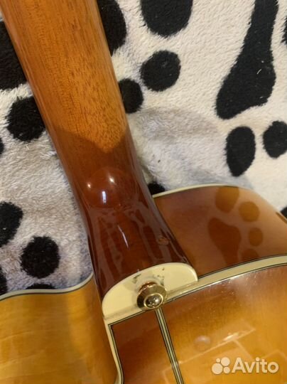 Акустическая Гитара Ibanez ael20ce+чехол