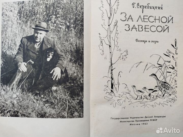 За лесной завесой Г. Скребицкий Детгиз