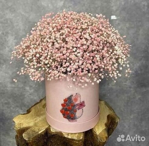 Цветы гипсофилы