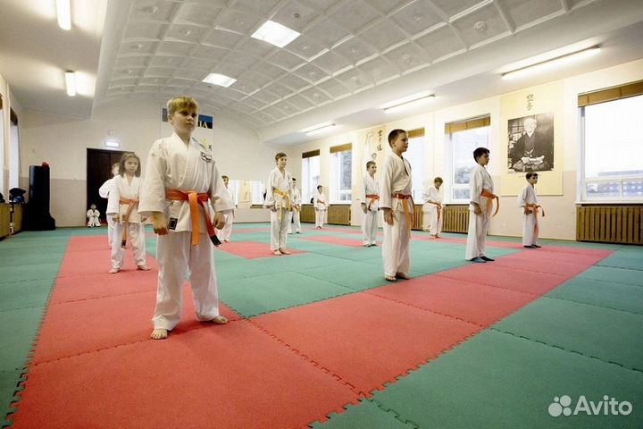 Будо-маты Euromat