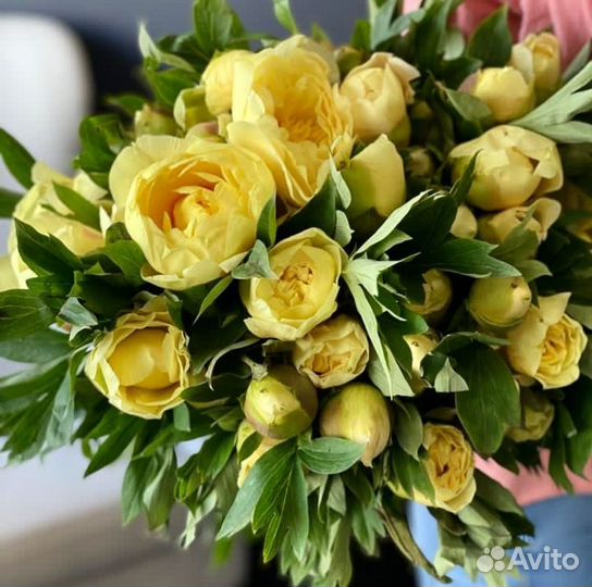 25 51 101 роза с доставкой Волгоград 24/7