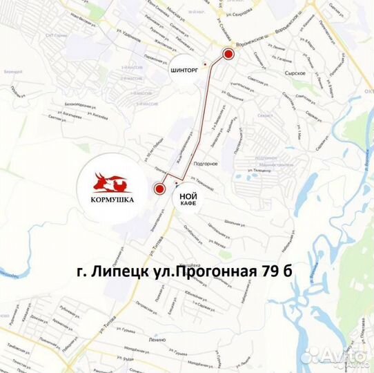 Актара средство для защиты растений от вредителей