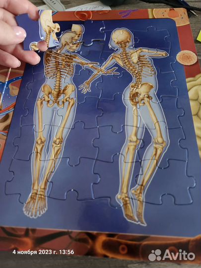 Книга с 6 пазлами о строении человека