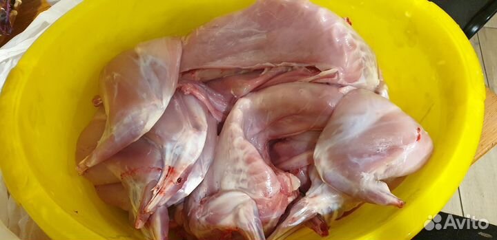 Мясо кролика