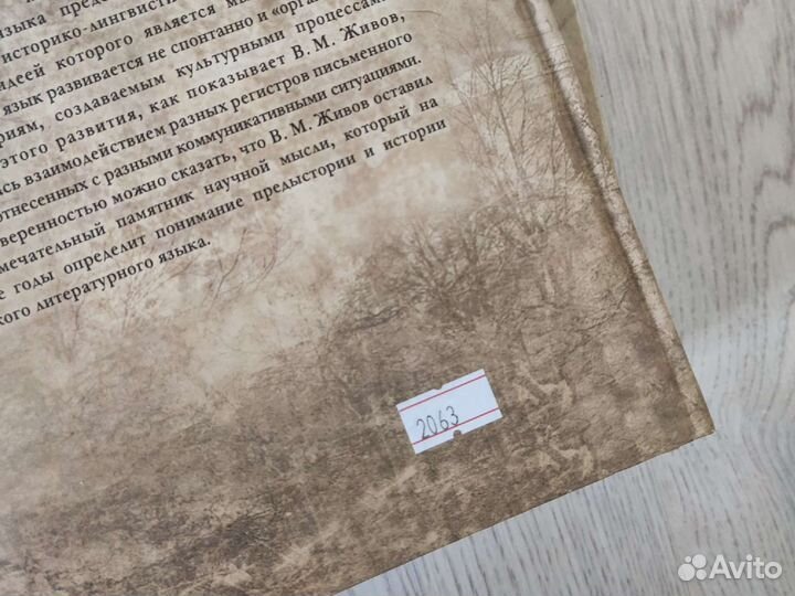 История языка русской письменности в 2 томах