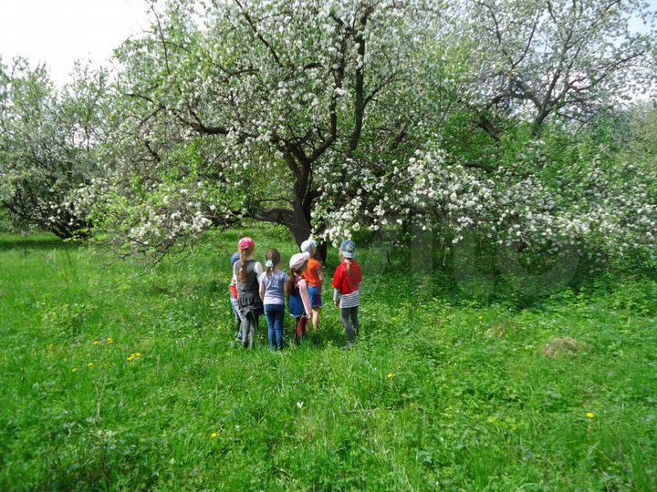 Участок 30 сот. (ИЖС)