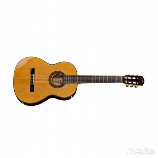 Cascha CGC310 Performer Series