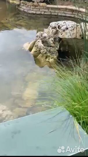 Скиммер для пруда “VodoMan” 400мм