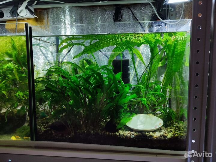 Аквариум 7,10,35,60 литров