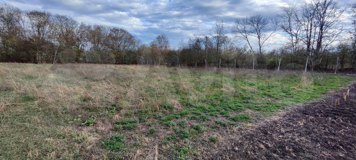 Участок 15 сот. (ИЖС)