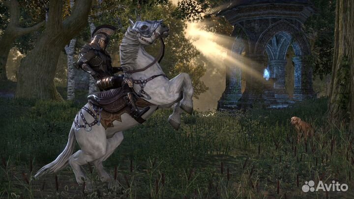 The Elder Scrolls Online Steam/Steamdeck