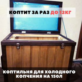 Коптильня хол копчения с эл статикой 150л