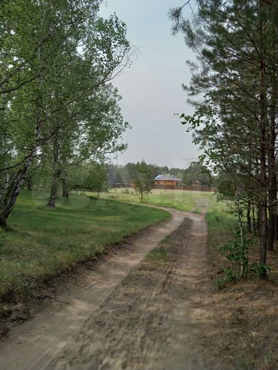 Участок 7,5 сот. (СНТ, ДНП)