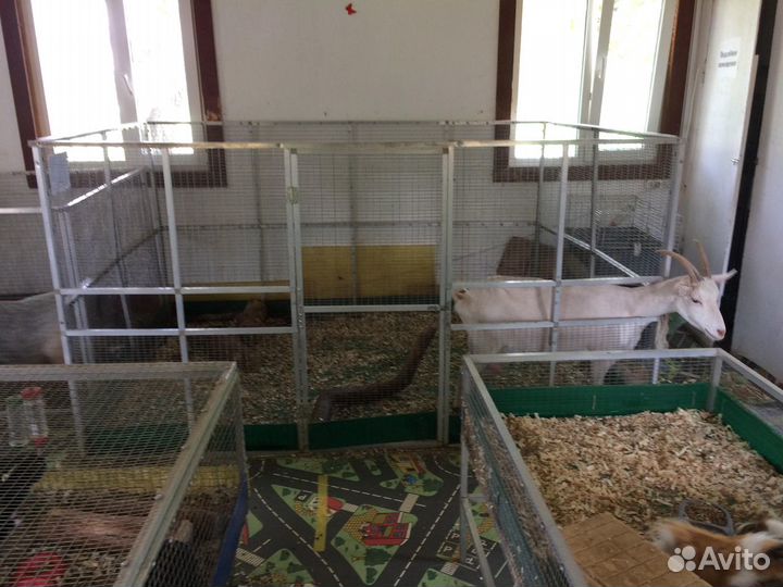 Клетки для животных