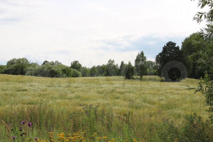 Участок 12 сот. (ИЖС)