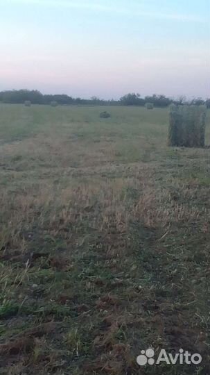 Сено в рулонах 2023