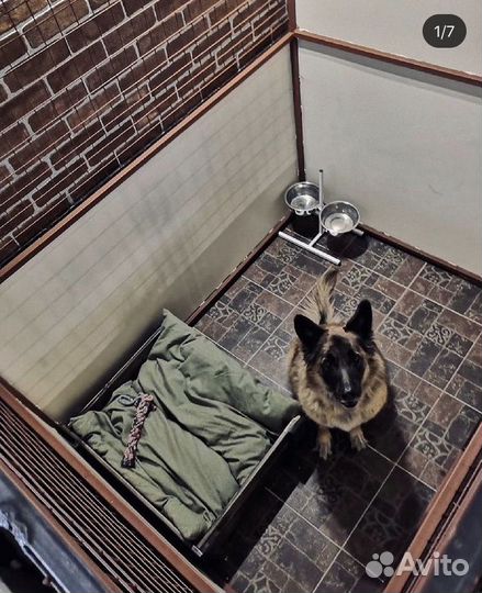 Гостиница для собак