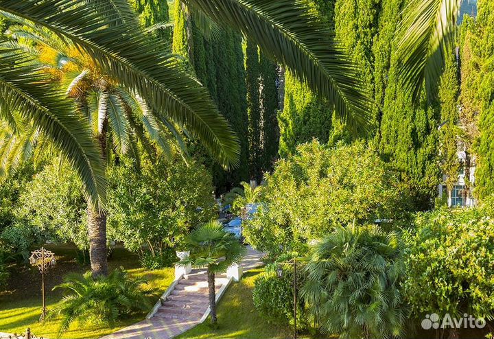 Горящие туры в Абхазию